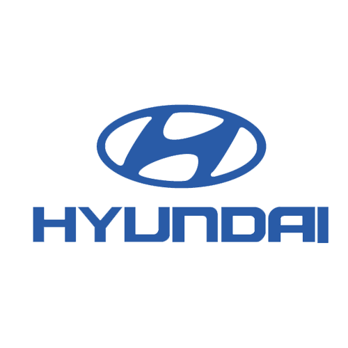 Huse auto dedicate Hyundai